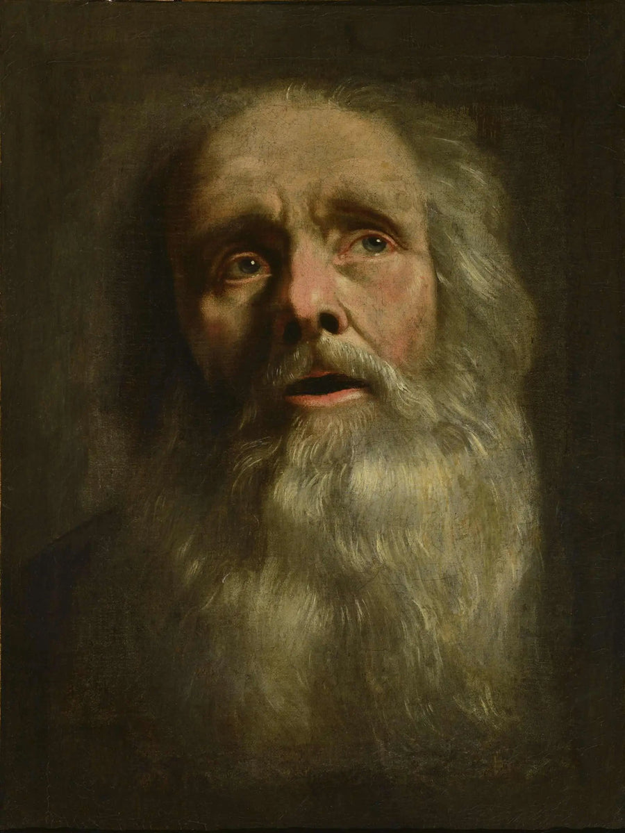 Vanhan miehen pää - Philippe de Champaigne