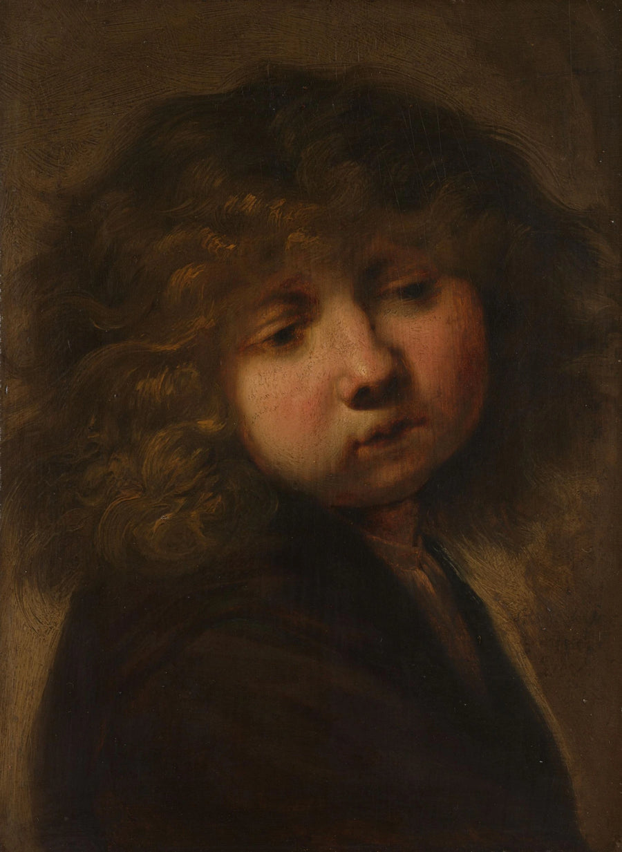Poika pään kuva - Rembrandt
