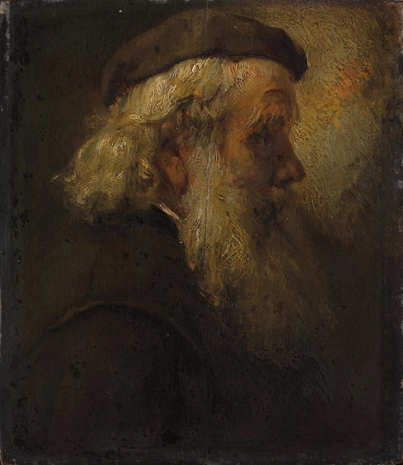 Vanhan partaisen miehen pää - Rembrandt