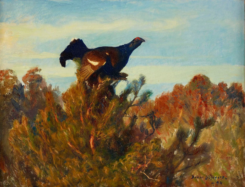 Teeri - Bruno Liljefors
