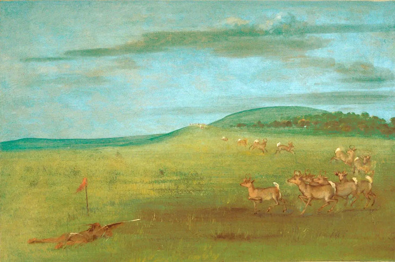 Ampuminen antilooppia houkuttelevaan - George Catlin