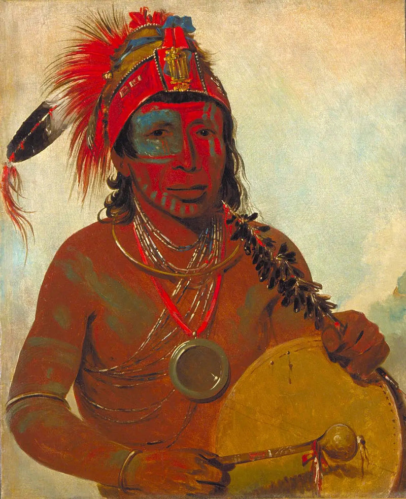 Tóh-to-wah-kón-da-pee, Sininen lääketiede, Ting-ta-to-ah-ryhmän parantaja - George Catlin