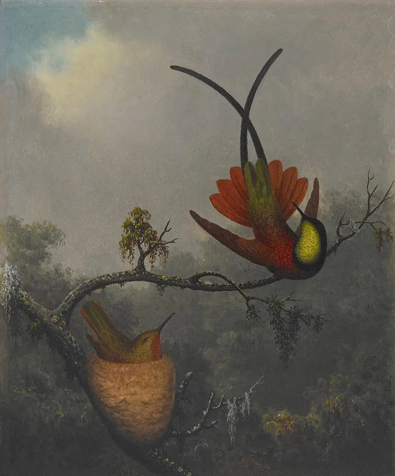 Topaasi punainen - Martin Johnson Heade