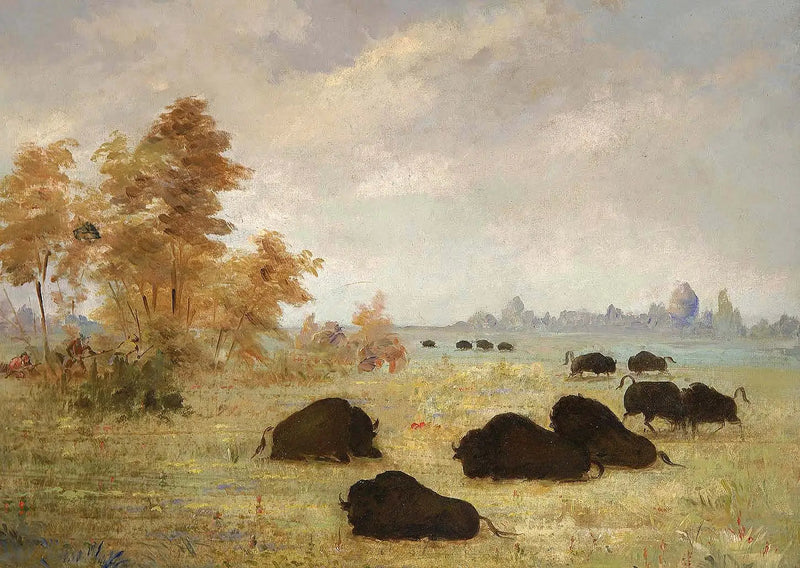 Biisonien metsästys, Arkansas - George Catlin