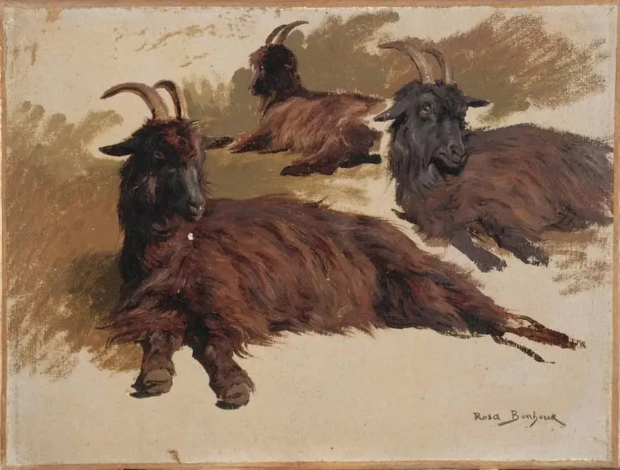 Kolme vuohta levossa - Rosa Bonheur