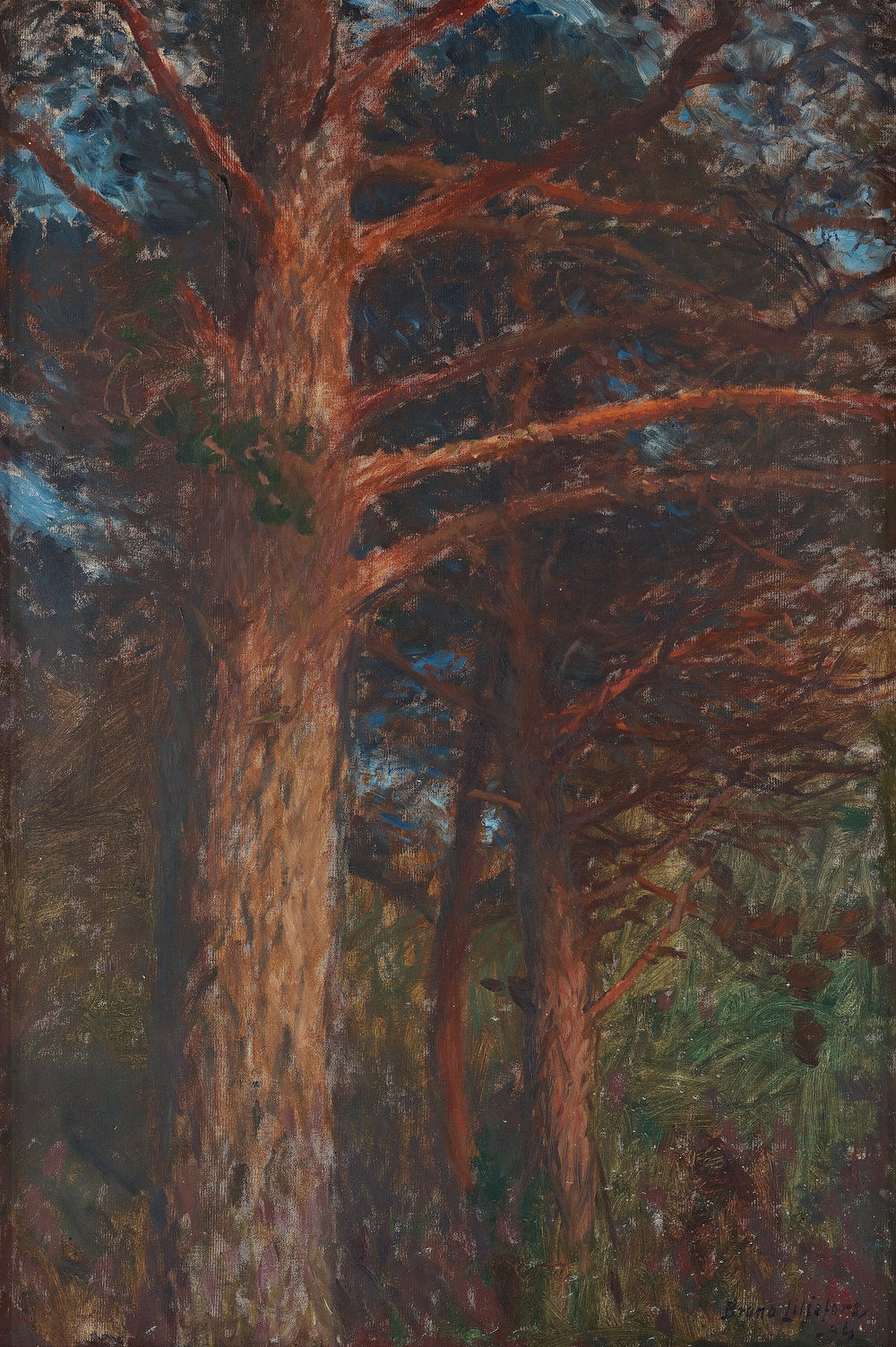 Troncs de pins après le coucher du soleil - Bruno Liljefors image 1 reproduction d’œuvre d’art à l’huile