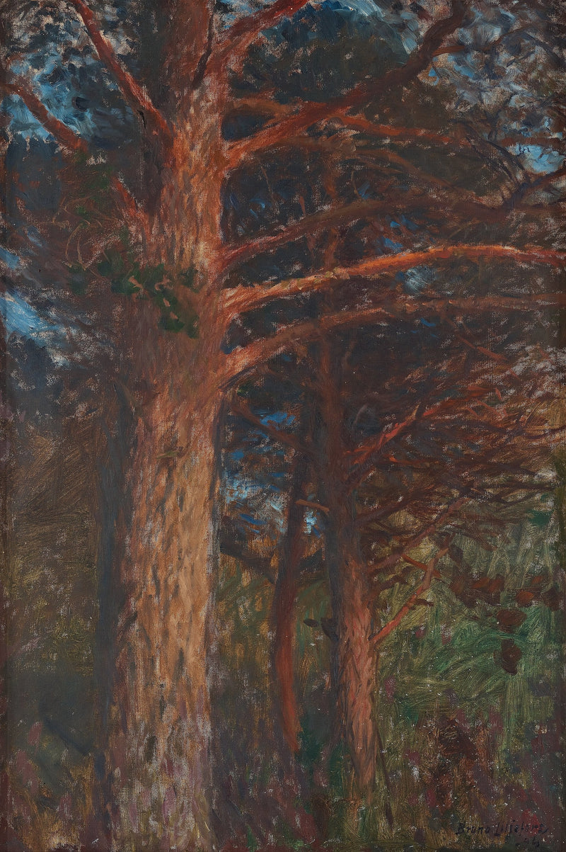 Männynrungot auringonlaskun jälkeen - Bruno Liljefors
