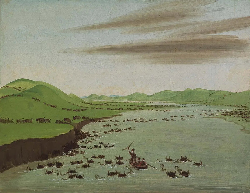 Bisonlaumat ylittämässä Haut-Missouri - George Catlin