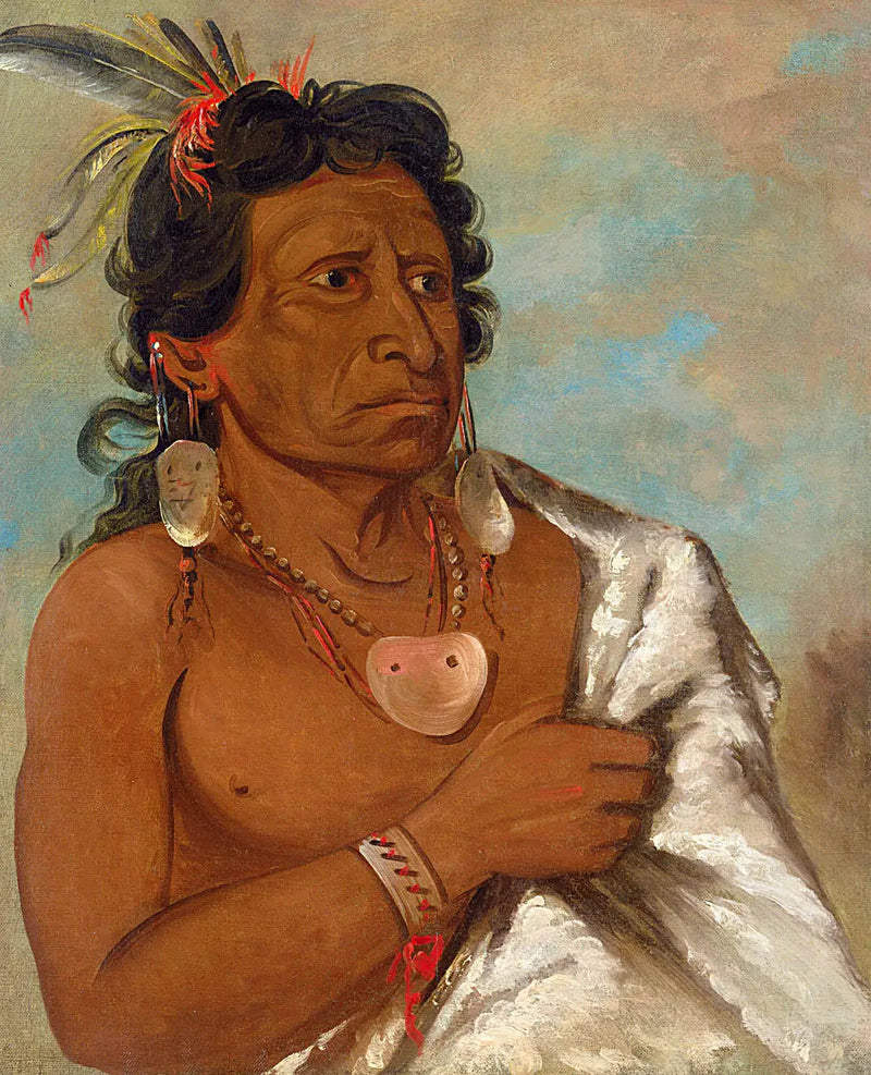 U'sh-ee-kitz, Se joka taistelee höyhenellä, heimojohtaja - George Catlin