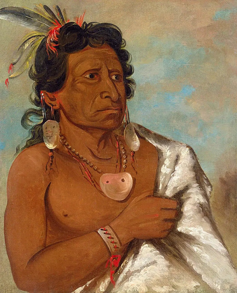 U'sh-ee-kitz, Se joka taistelee höyhenellä, heimojohtaja - George Catlin