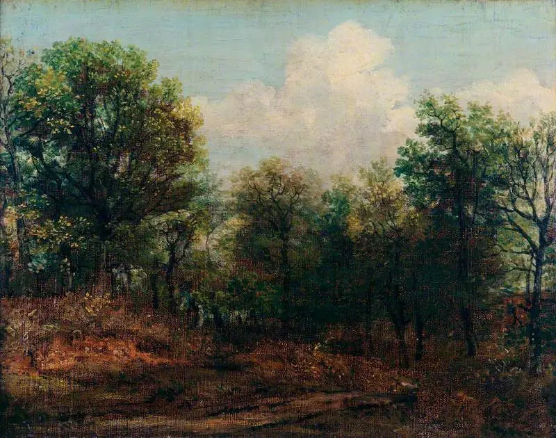 Puu - John Constable