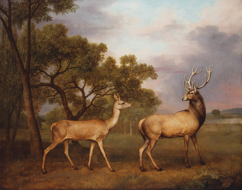 Uros hirvi ja naaras - George Stubbs