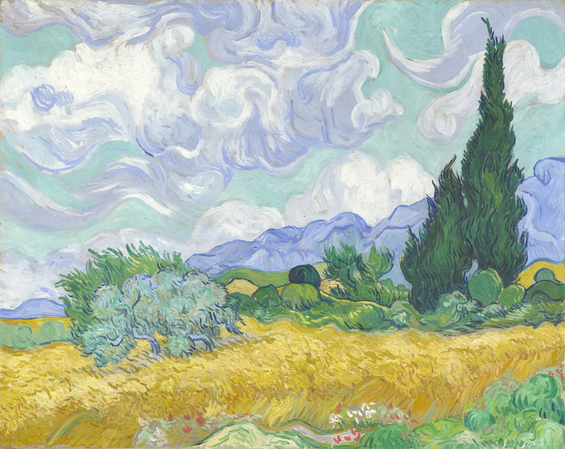 Vehnäpelto sypressien kanssa - Vincent van Gogh