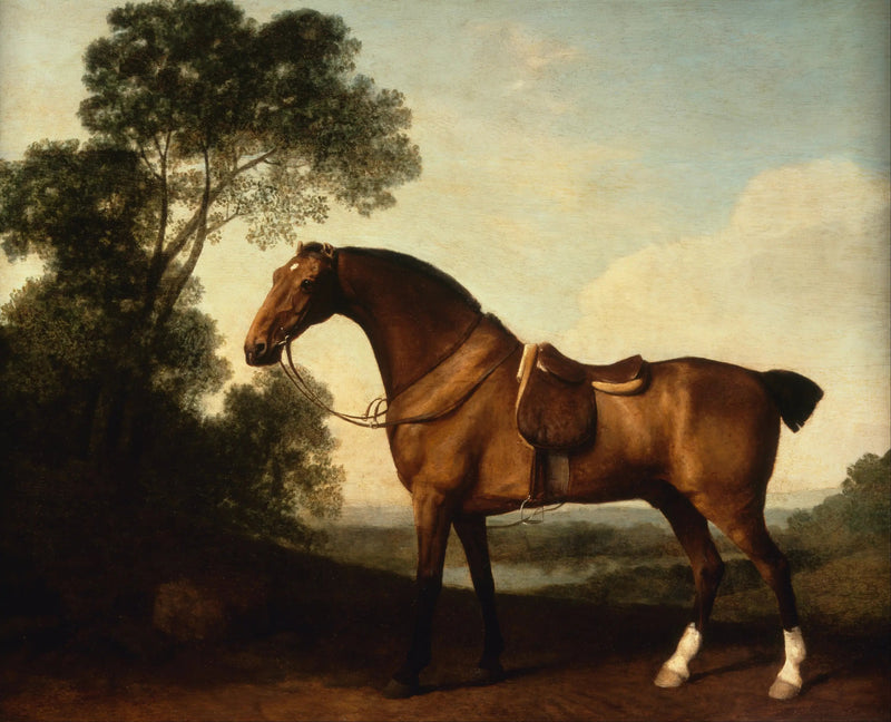 Laivastonsuojelija-George Stubbs