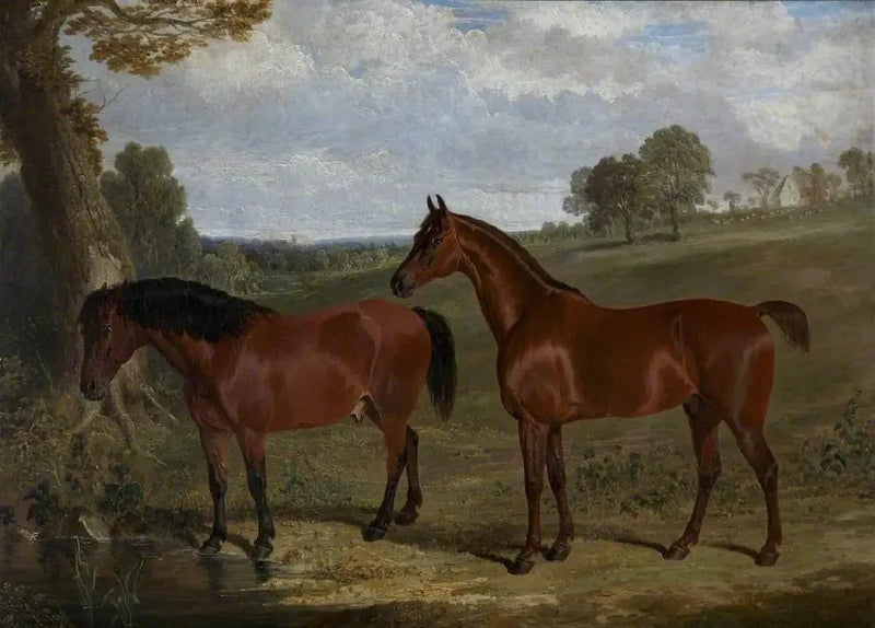 Valkoinen hevonen ja poni maisemassa - John Frederick Herring, Sr.