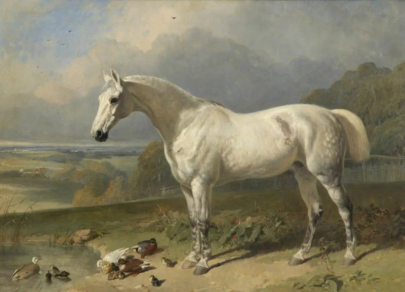Harmaa hevonen ja ankkoja maisemassa - John Frederick Herring, Sr.