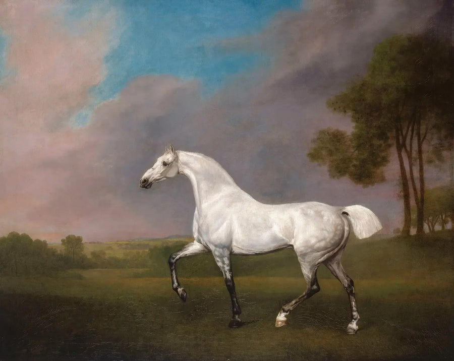 Harmaa hevonen - George Stubbs