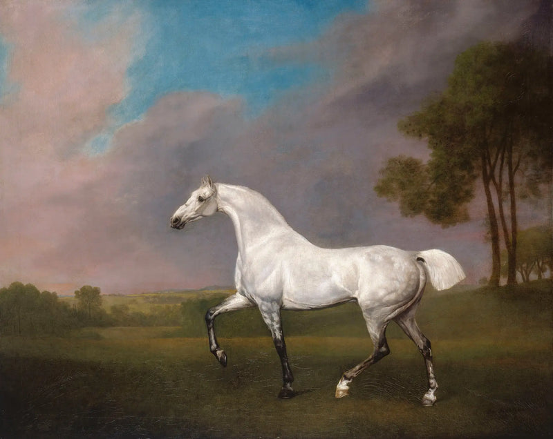 Harmaa hevonen - George Stubbs