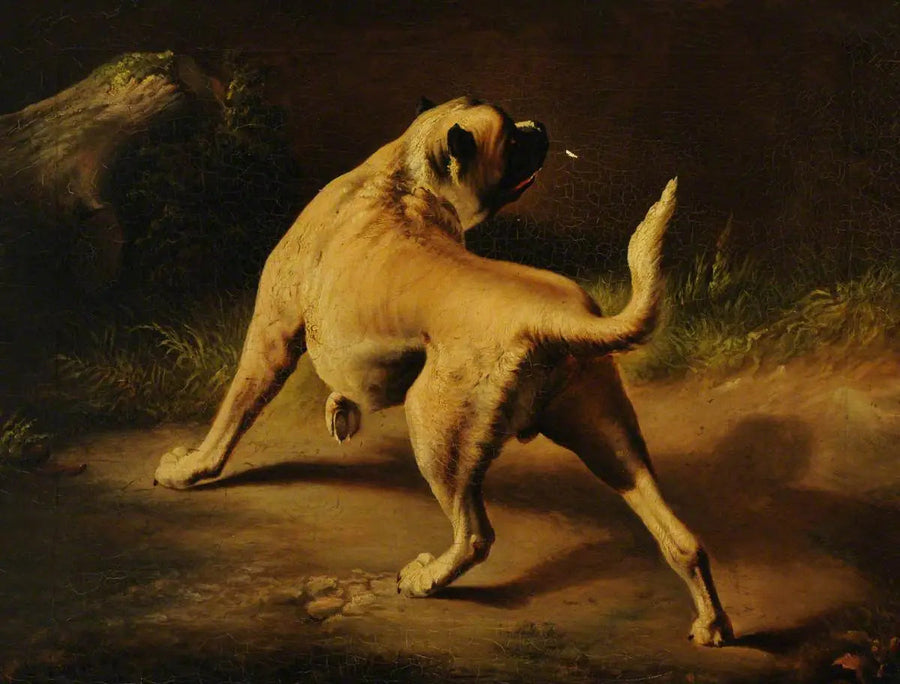 Herkkävahtinen koira - Edwin Henry Landseer