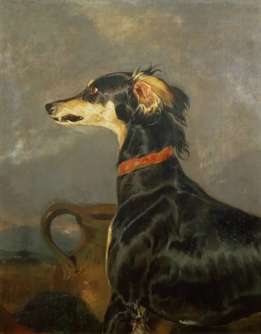 Saluki-koira - Edwin Henry Landseer