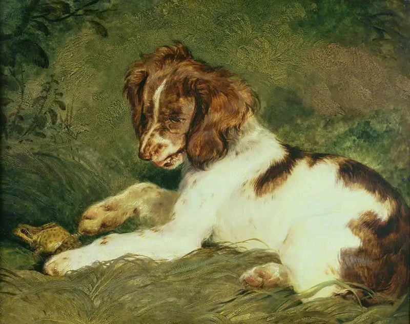 Pieni pentu kiusoittelee sammakkoa - Edwin Henry Landseer