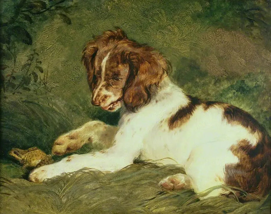 Pieni pentu kiusoittelee sammakkoa - Edwin Henry Landseer