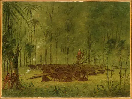 Taistelu pécarien kanssa - Karibianmeret - George Catlin