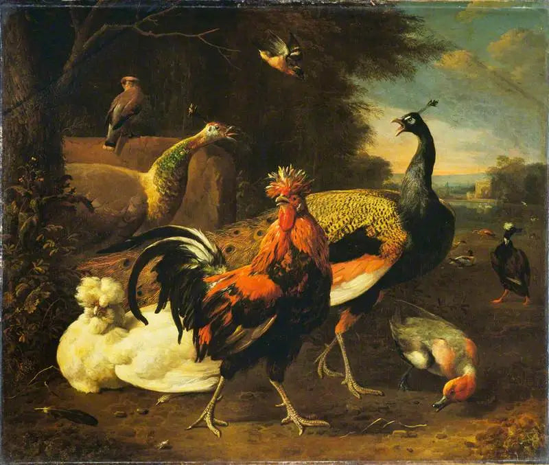 Kukko muiden lintujen kanssa - Melchior de Hondecoeter