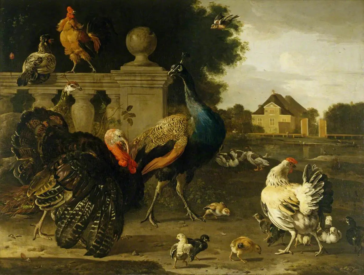 Un coq de dinde et d’autres oiseaux dans un jardin - Melchior de Hondecoeter - Alpha Reproduction