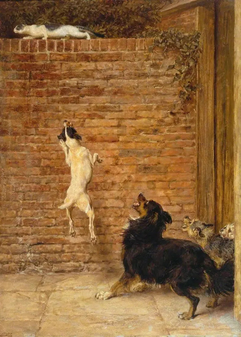 Blokkiurheilija - Briton Rivière
