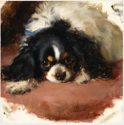 King Charlesin spaniel - Edwin Henry Landseer