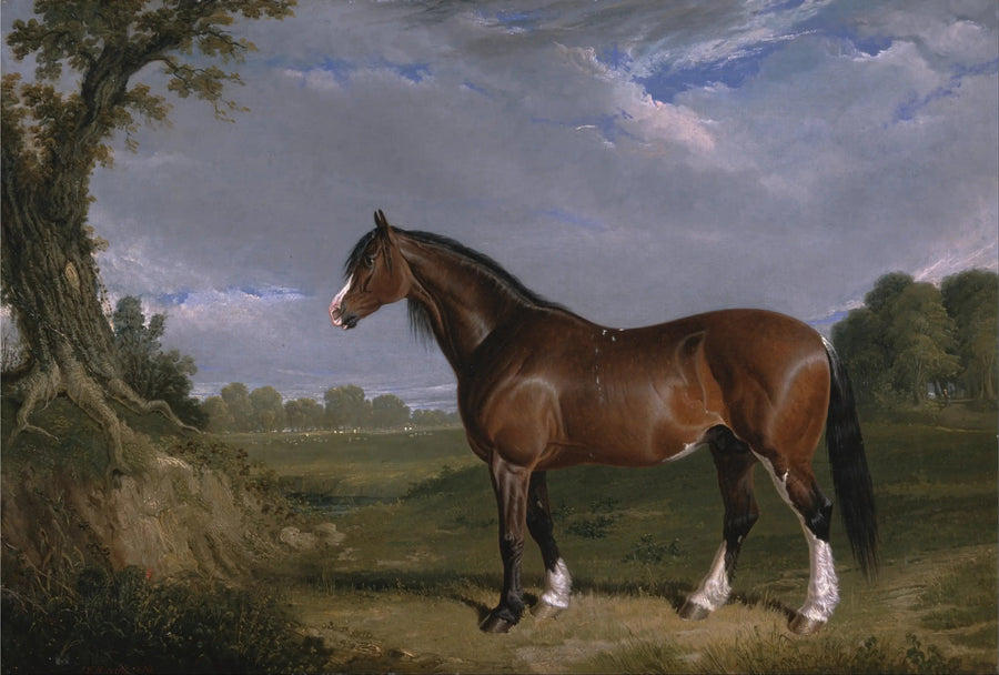 Clydesdalen ori - John Frederick Herring, Sr.