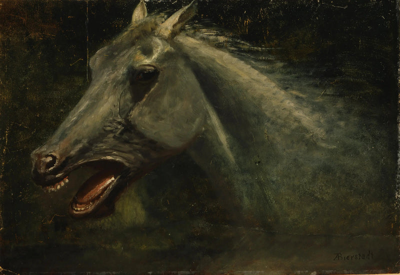 Villin hevosenkarkoitus - Albert Bierstadt
