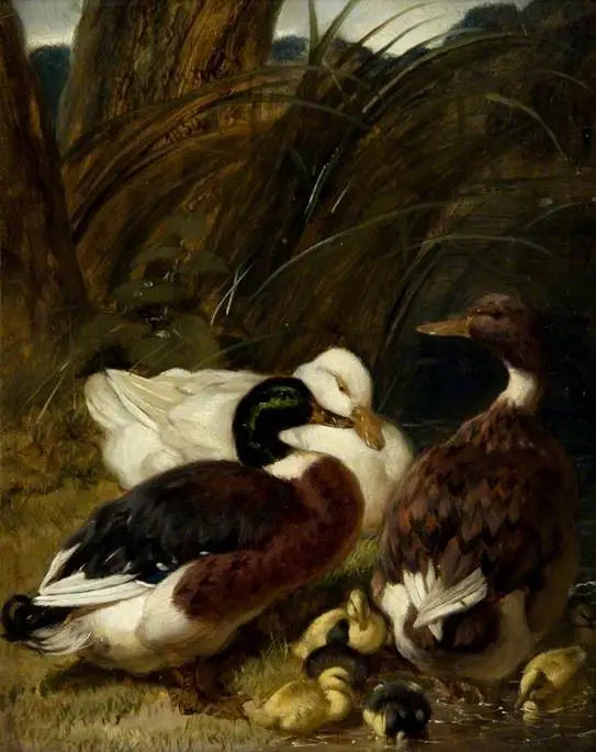 Ankka-ryhmä - John Frederick Herring, Sr.