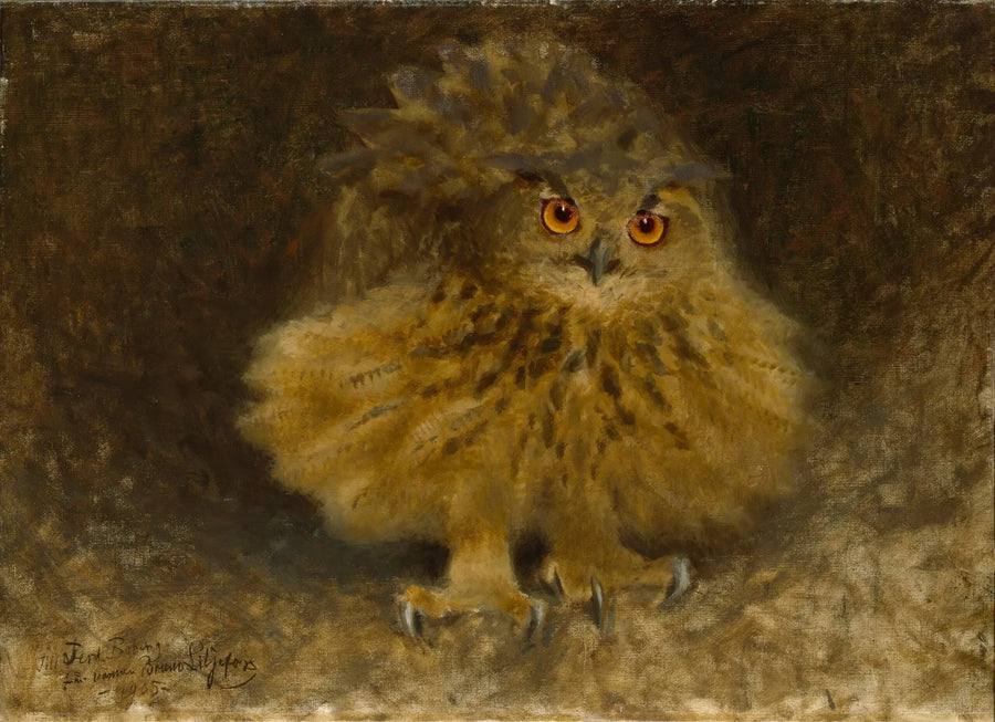 Pöllö - Bruno Liljefors