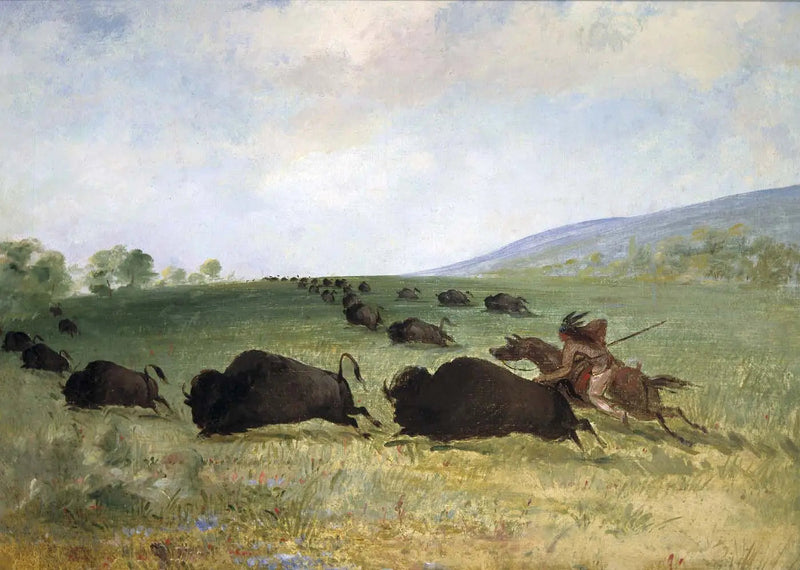 Un Indien Osage heittää härkää - George Catlin