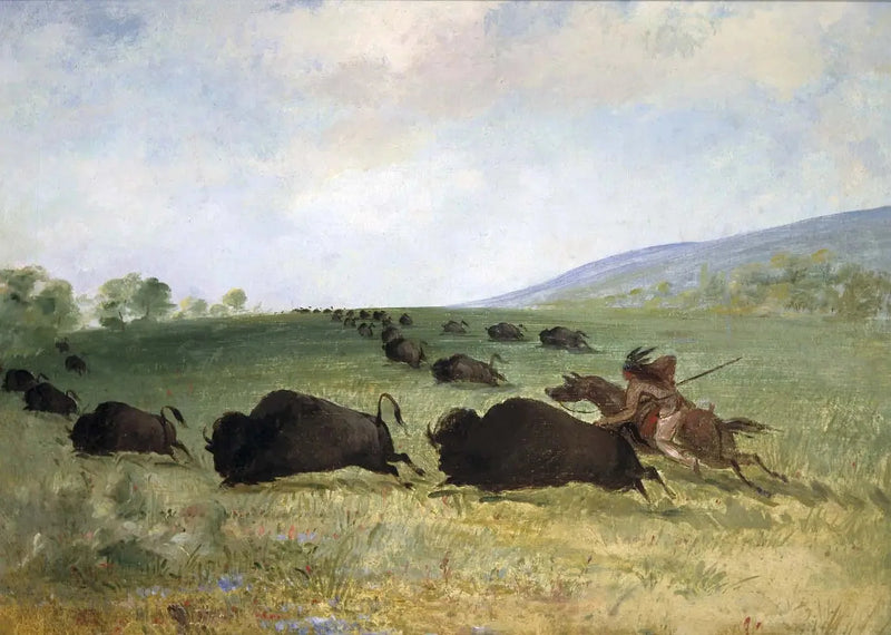 Un Indien Osage heittää härkää - George Catlin