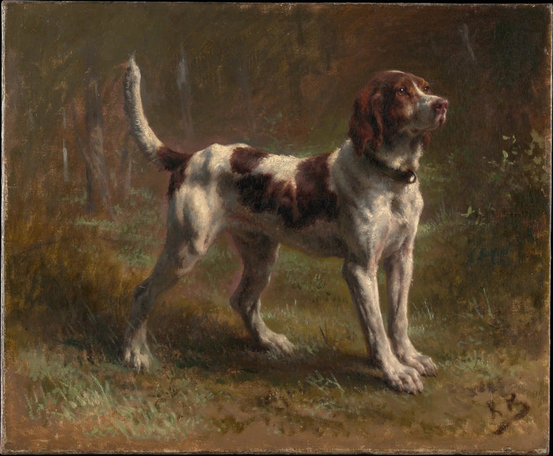 Un Limier Briquet - Rosa Bonheur