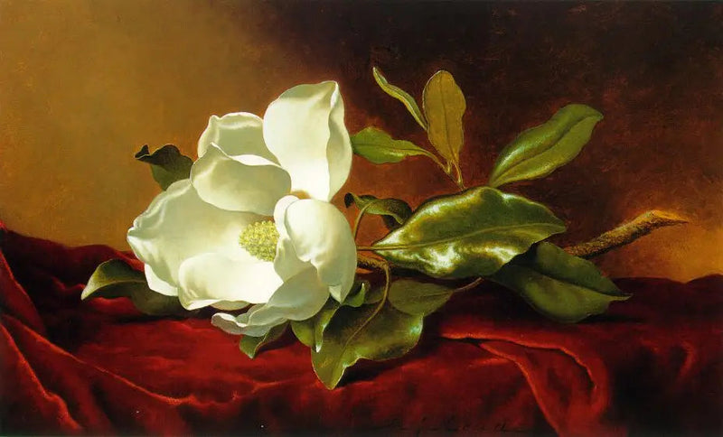 Magnolia samettinauhalla - Martin Johnson Heade