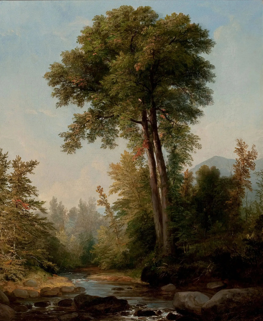 Luonnollinen monarkki - Asher Brown Durand