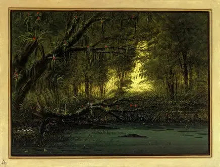 Alligaattorin pesä - George Catlin