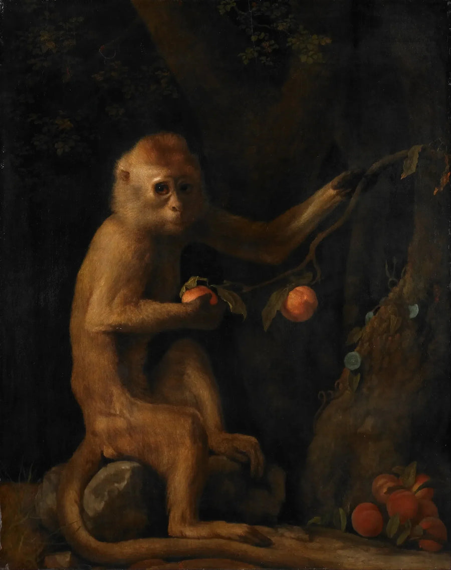 Apina - George Stubbs
