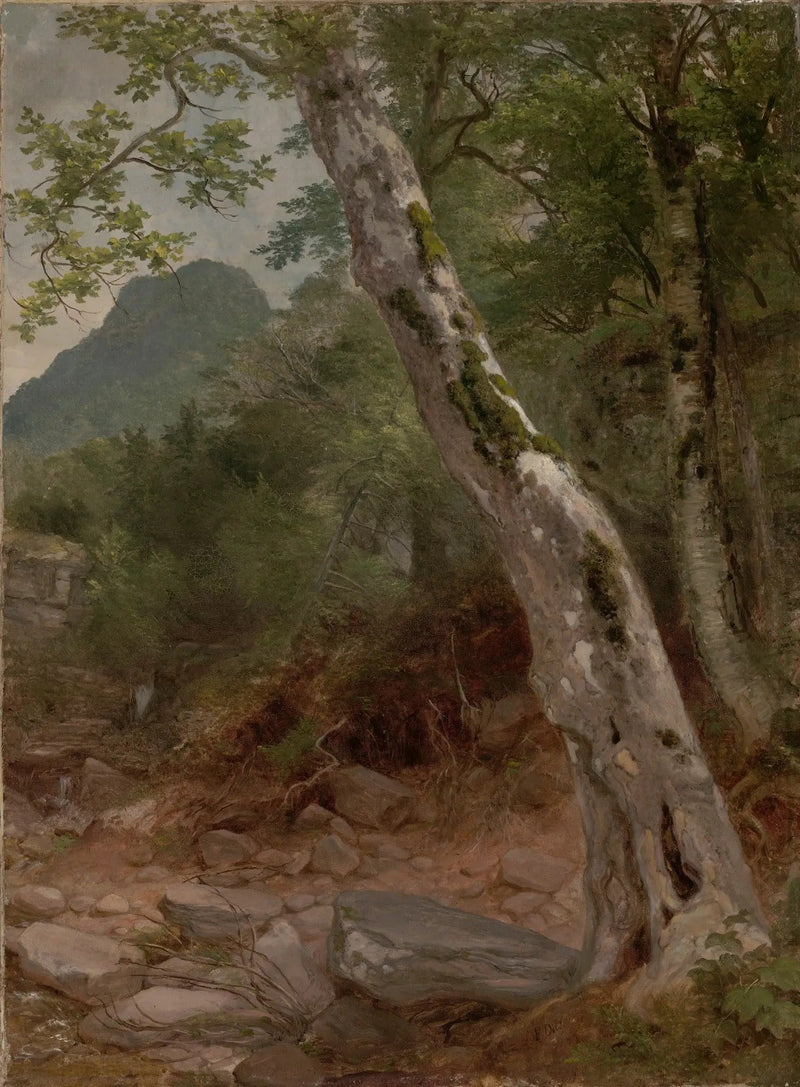 Un sykomore, Plaaterkill Clove - Asher Brown Durand