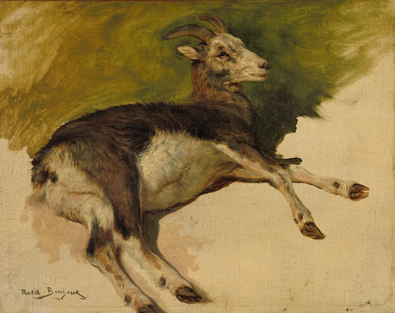 Vuohi - Rosa Bonheur