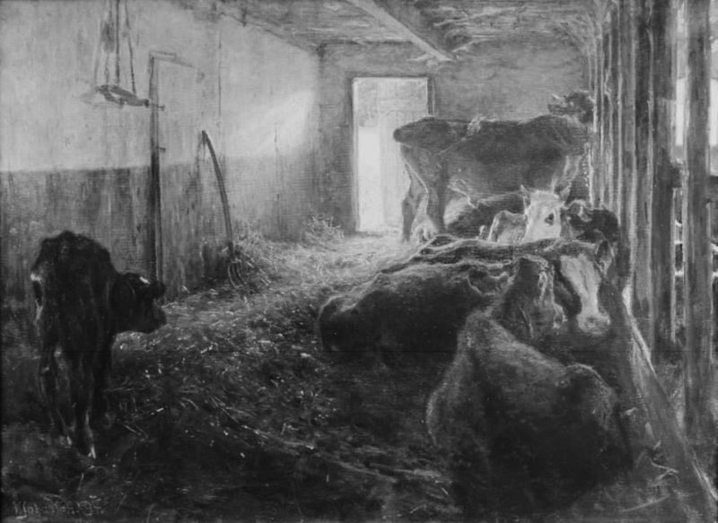 Talli - Viggo Johansen
