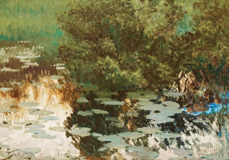 Ankkaperhe lumpeiden keskellä. - Bruno Liljefors