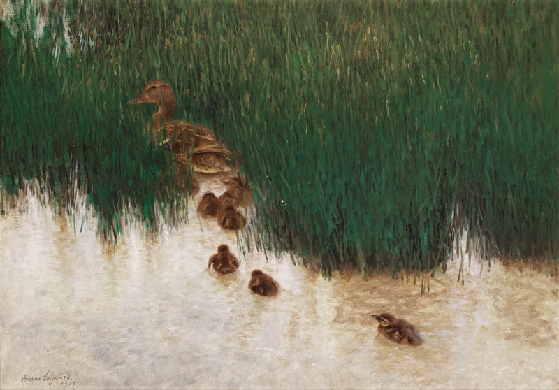 Sorsaperhe ruovikossa - Bruno Liljefors