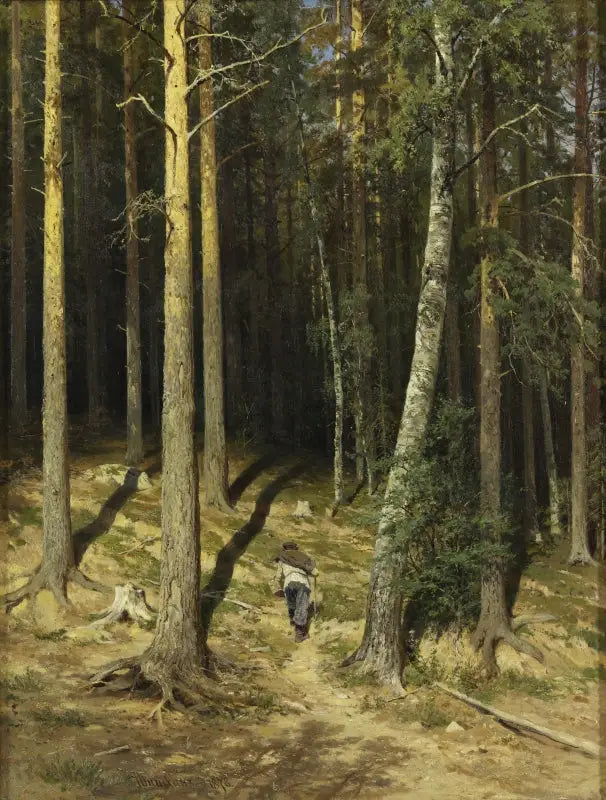 Mäntymetsä - Ivan Chichkine