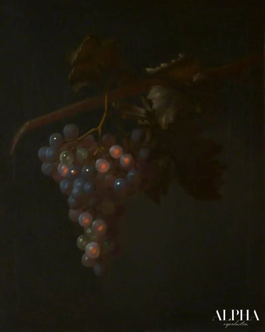 Une grappe de raisin - Tobias Stranover - Reproductions de tableaux et peintures haut de gamme