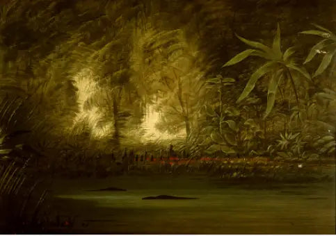 Ylä-Amazonin laguu - George Catlin